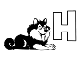 H