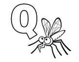 Q