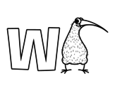 w